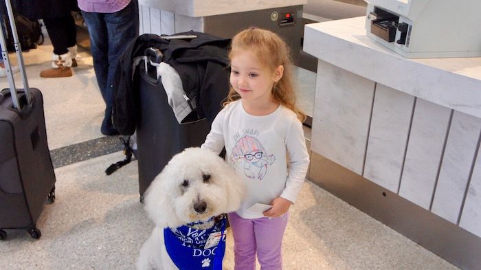 HARLEY & LITTLE GIRL.jpg